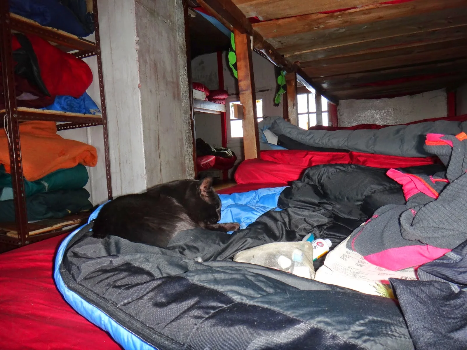 Emilio the hut cat chose to sleep in my sleeping bag. This was charming.