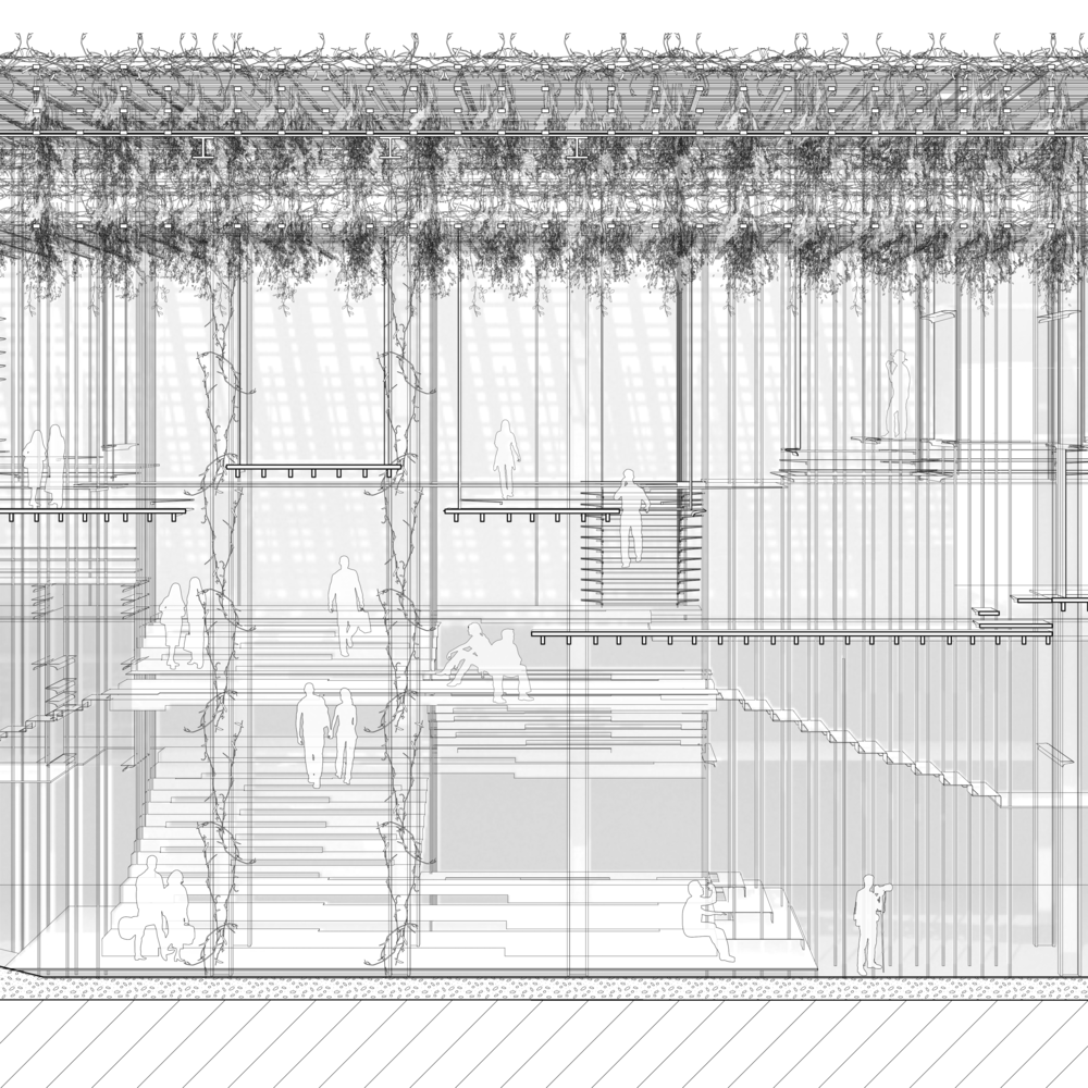 SECTION AND SECTION PERSPECTIVE - crop 01.png