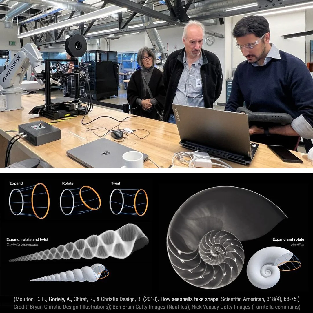Parametric Biomimicry: Computational Design and Robotic Fabrication of ...