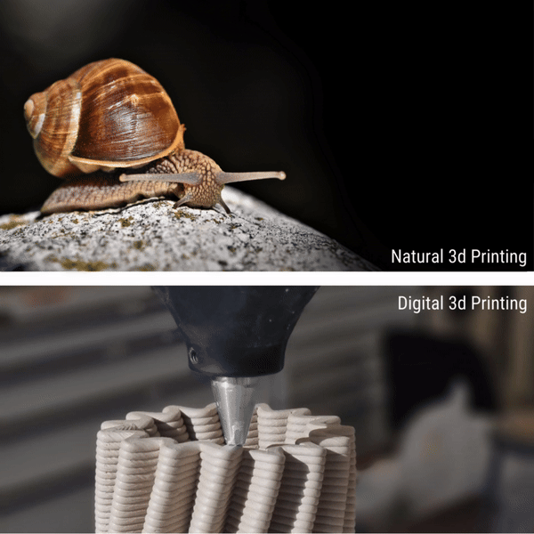 Parametric Biomimicry: Computational Design and Robotic Fabrication of ...