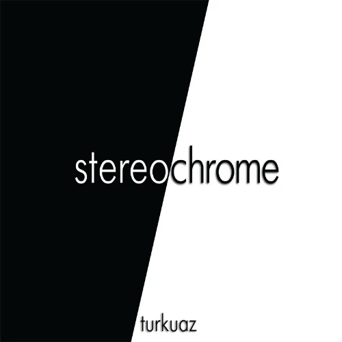 StereochromeCoverFINAL_800.jpg