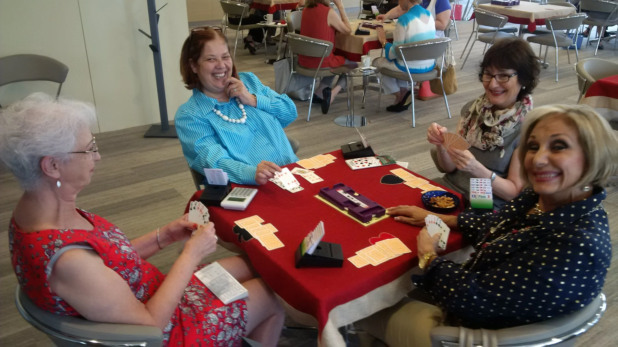 TORNEO DE PRINCIPIANTES MAYO 2015