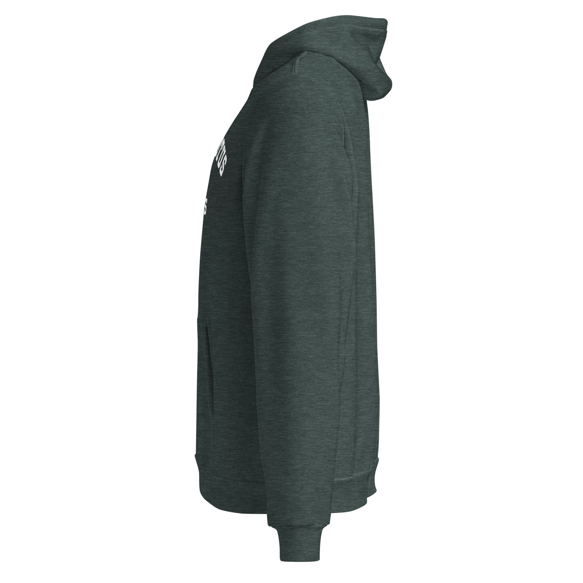 unisex-pullover-hoodie-heather-forest-left-6877cf16a4a0f.jpg