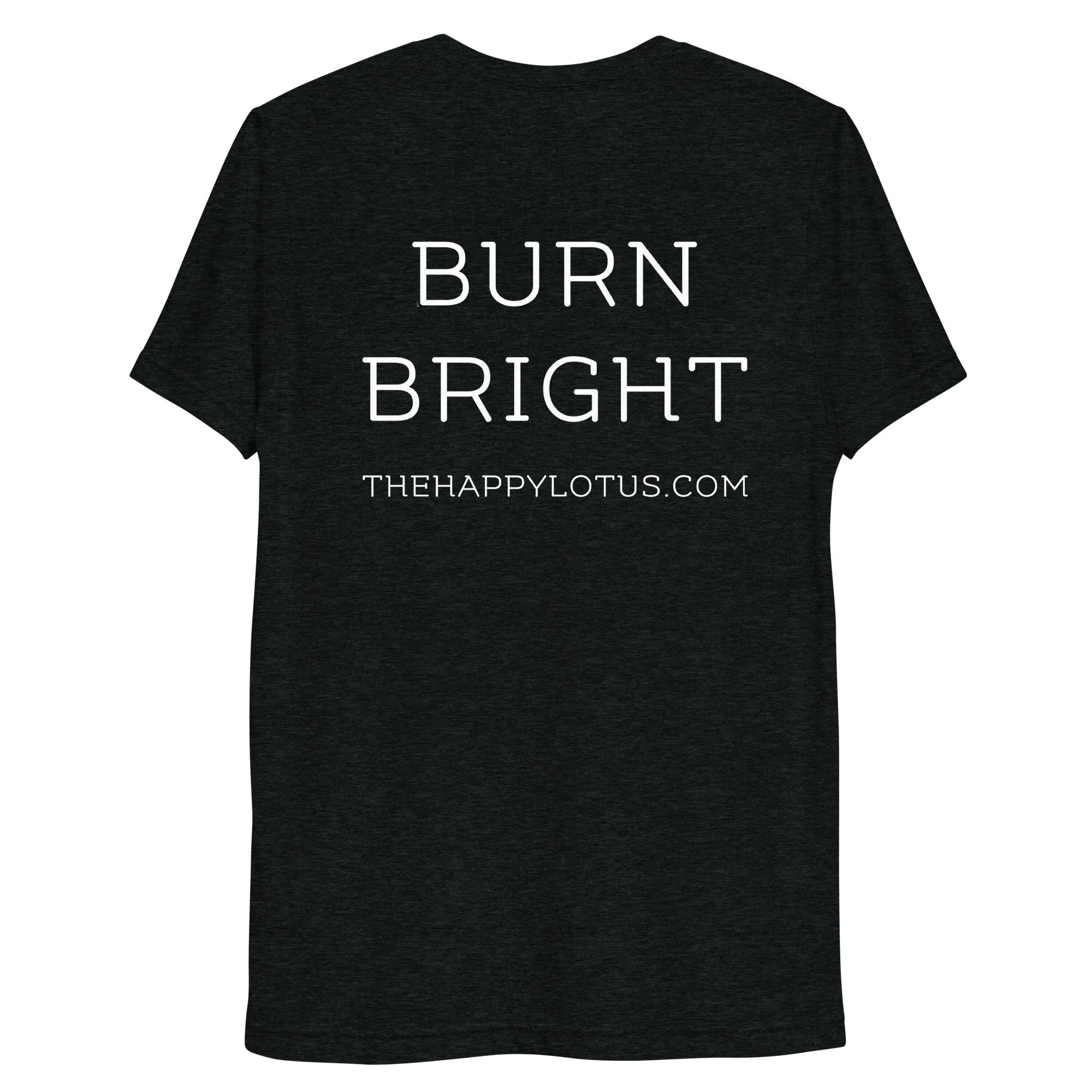 unisex-tri-blend-t-shirt-charcoal-black-triblend-back-6877d1a0cedb2.jpg