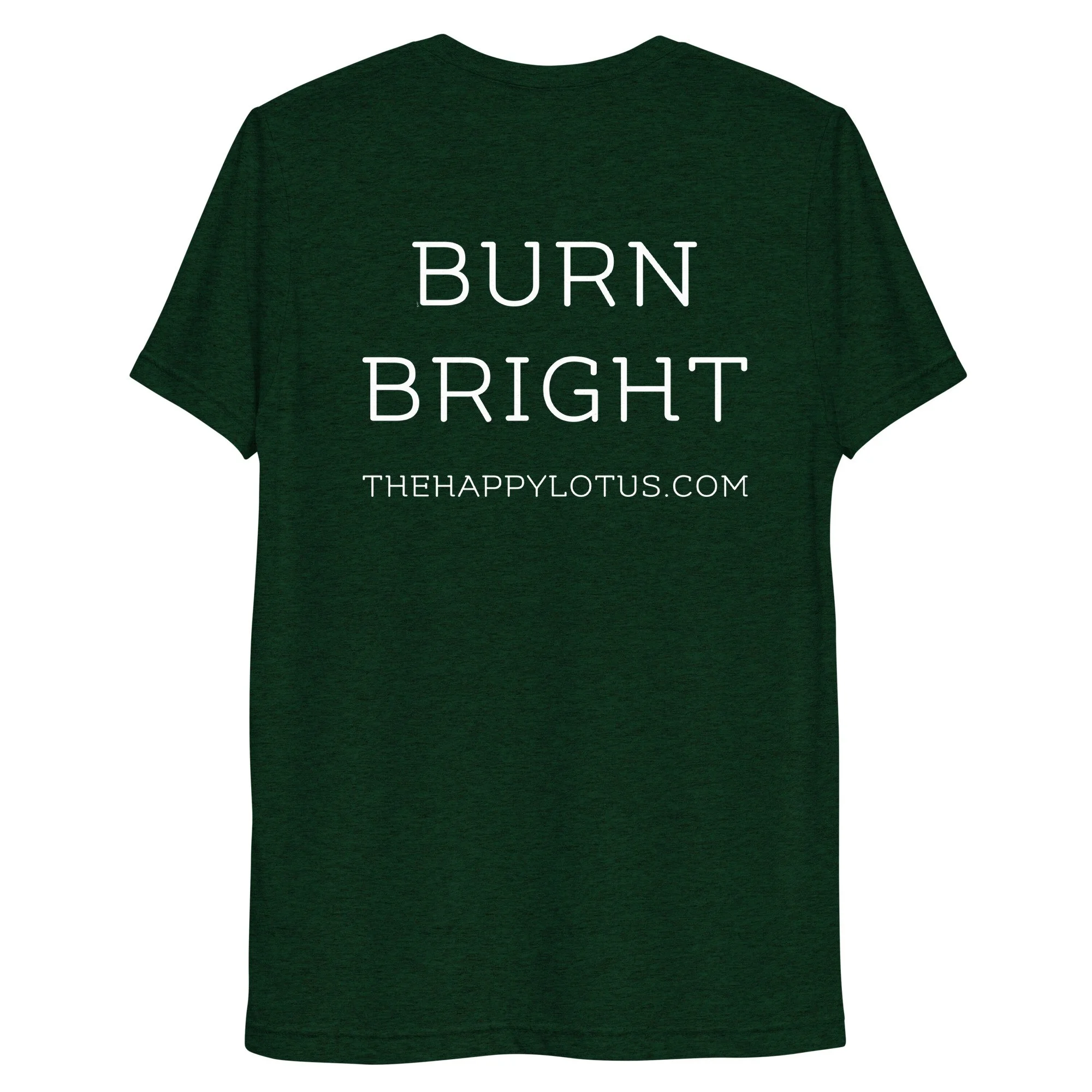 unisex-tri-blend-t-shirt-emerald-triblend-back-6877d1a0d13db.jpg