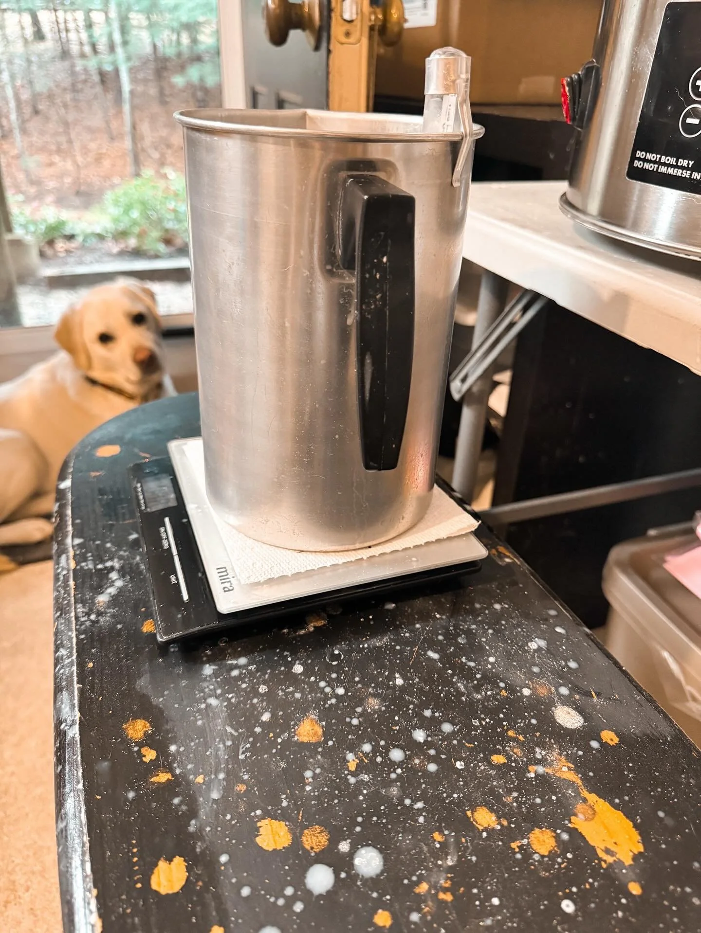 🌲 Wax is melting, secrets are swirling&hellip; and something 𝘧𝘦𝘴𝘵𝘪𝘷𝘦 is dropping on November 3rd! River is psyched... are you? 🐶 😉⁣
#thehappylotuscandles #capecodcandles #holidaydropdate⁣