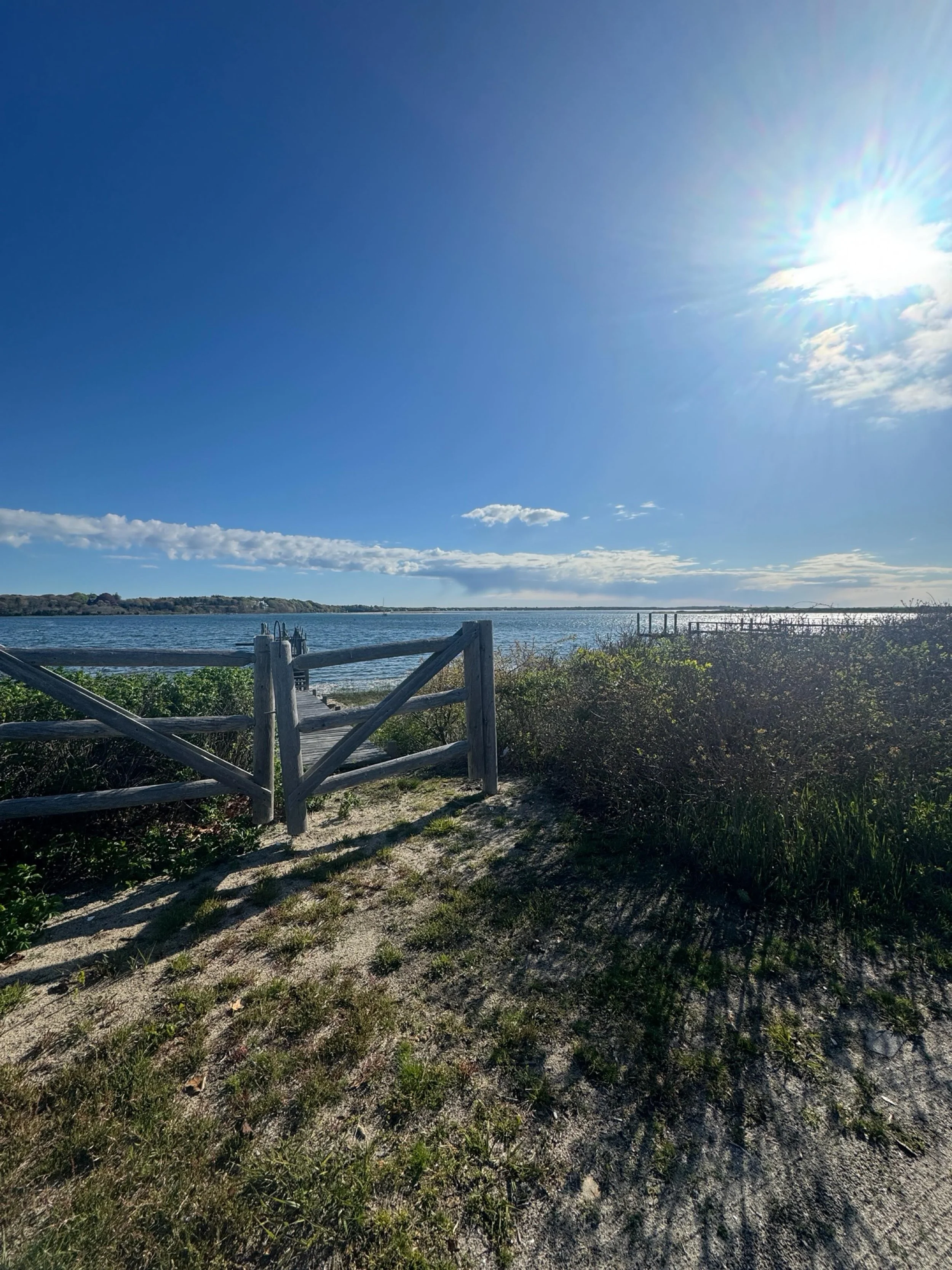 ☀️ Warm sun, cool air, great convo, and a familiar stretch of sand that always has a fantastic view. ⁣
⁣
🍀 Truly lucky to live so close to the beach. ⁣
⁣
🐶 Sidebar: holy crap the ticks are 𝘪𝘯𝘴𝘢𝘯𝘦 this season. I must&rsquo;ve taken 𝘢𝘵 𝘭𝘦𝘢