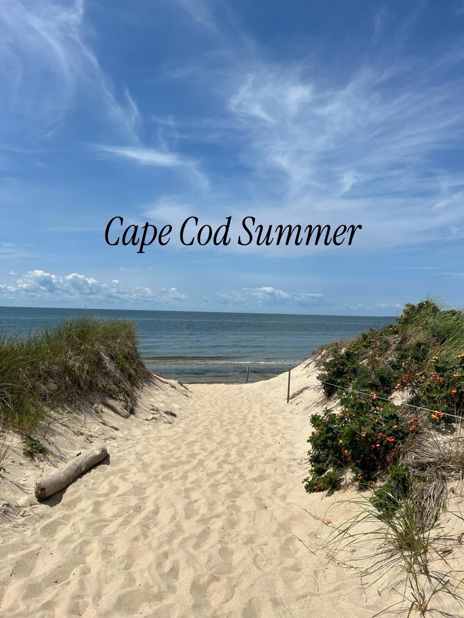 🏖️ 𝗖𝗮𝗽𝗲 𝗖𝗼𝗱 𝗦𝘂𝗺𝗺𝗲𝗿 🏖️ The scent that feels like stepping onto warm sand with the breeze in your hair. ⁣
⁣
🕯️ A little sun, a little salt, and a lot of that warm sunshine that makes 𝘦𝘷𝘦𝘳𝘺𝘵𝘩𝘪𝘯𝘨 feel lighter.⁣
#capecodsummer #s