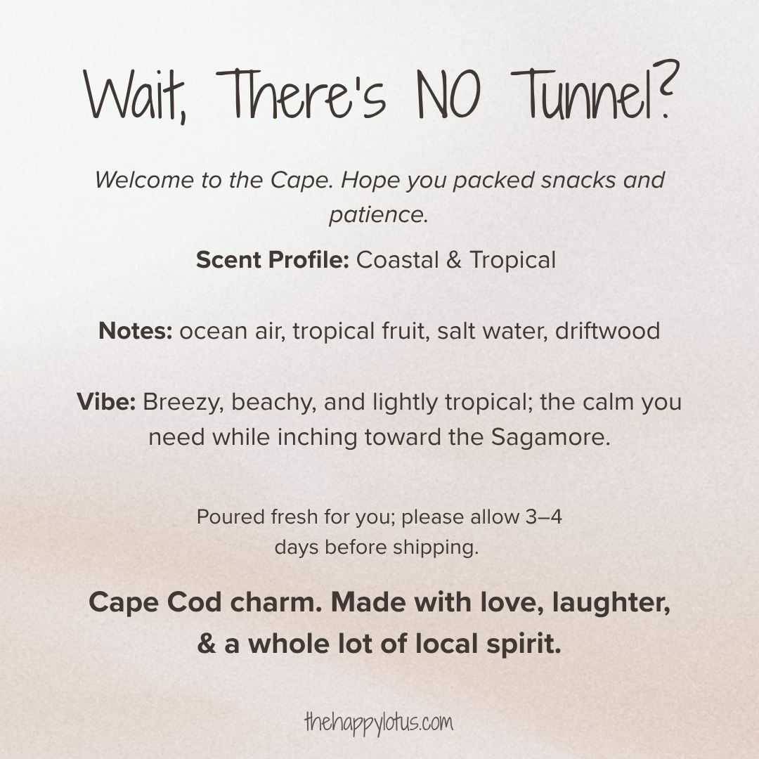 Wait There's NO Tunnel.png