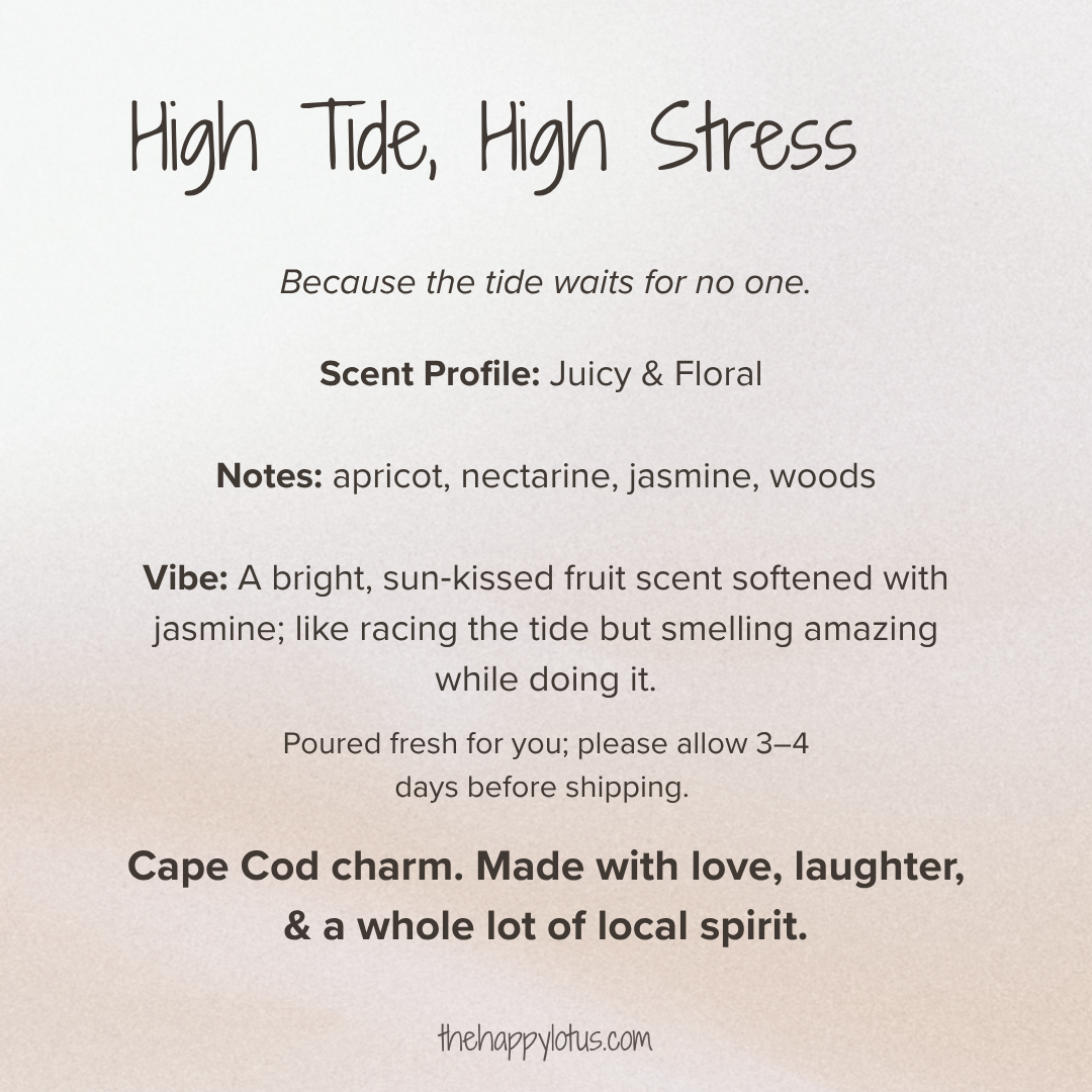 High Tide High Stress.png