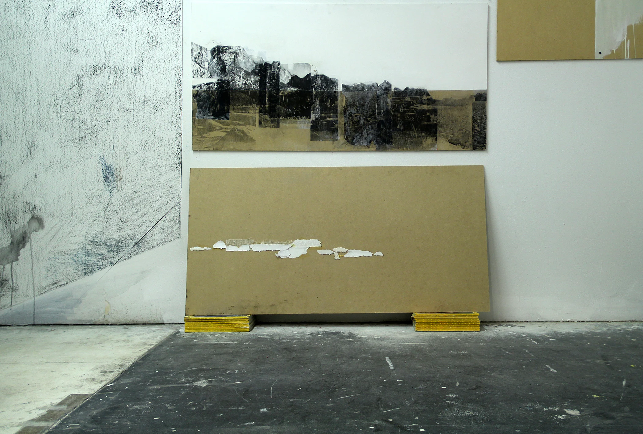  Danica Radoshevich, "Untitled," painting and installation (2015)