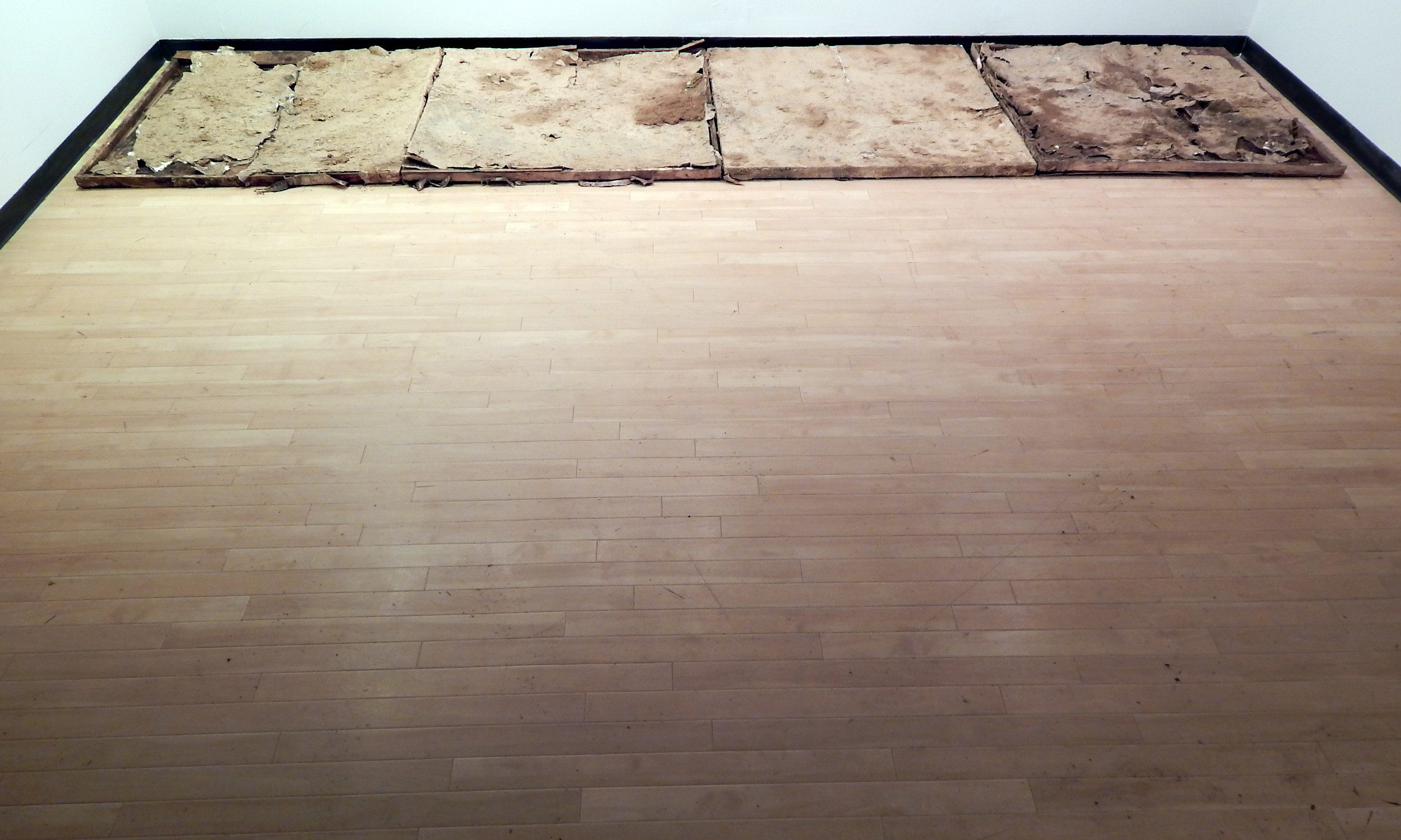 Adam Turl, The Flooding of Cairo, Illinois/Dead Paintings Nine (2013)