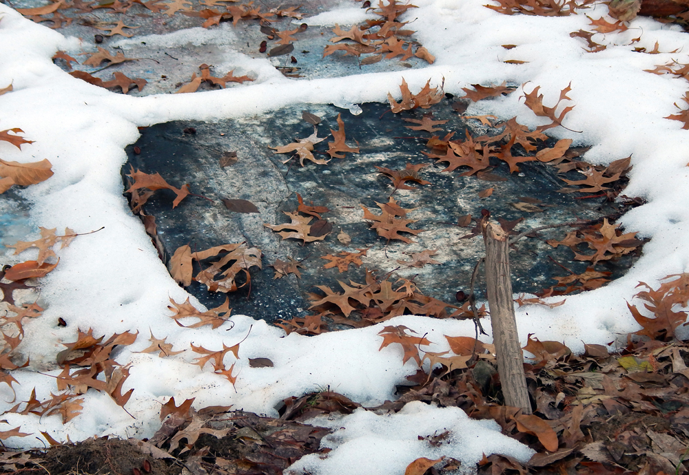 Adam Turl, Dead Paintings Ten, detail (2013-2014)