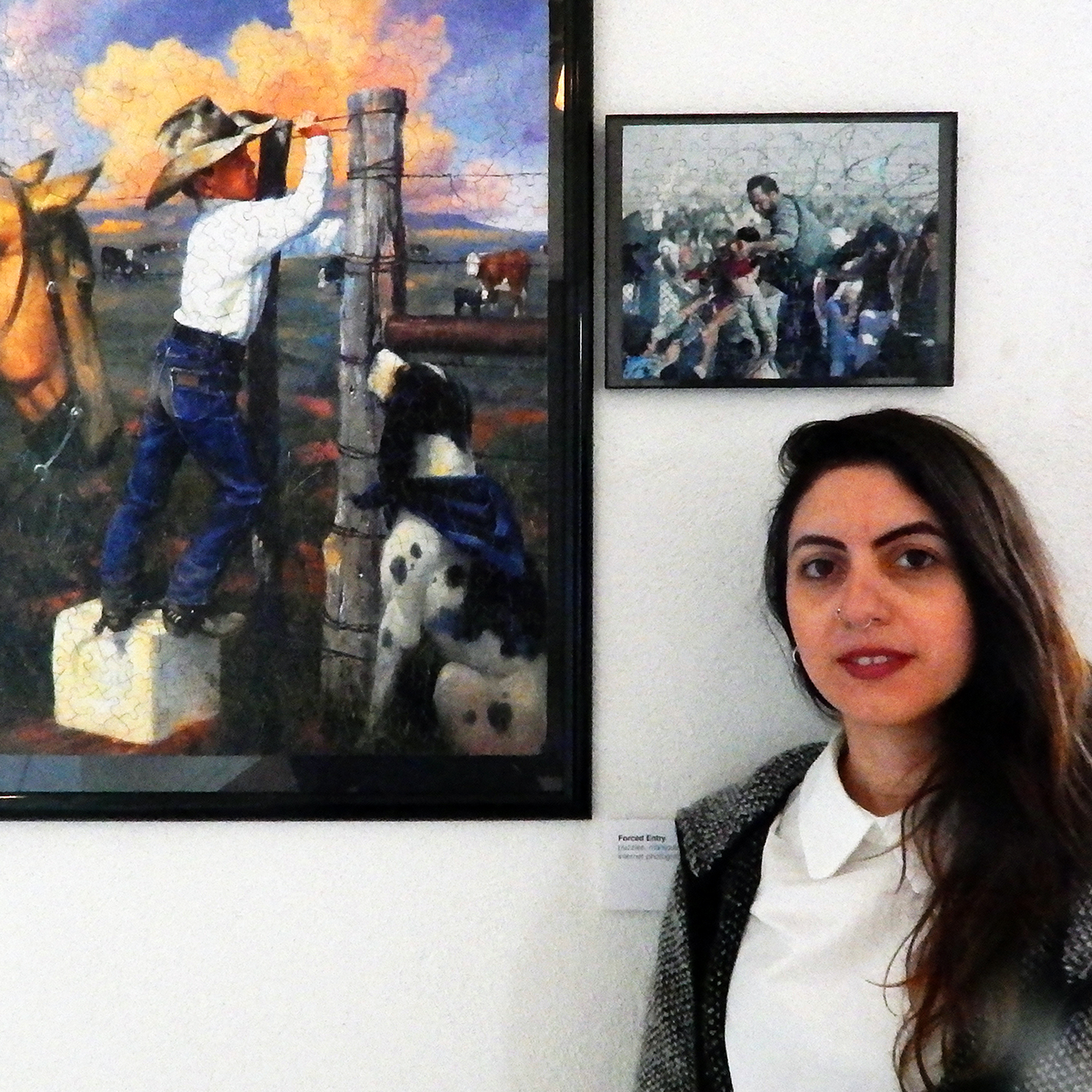 Shirin Rastin at Dollar Art House (2017)