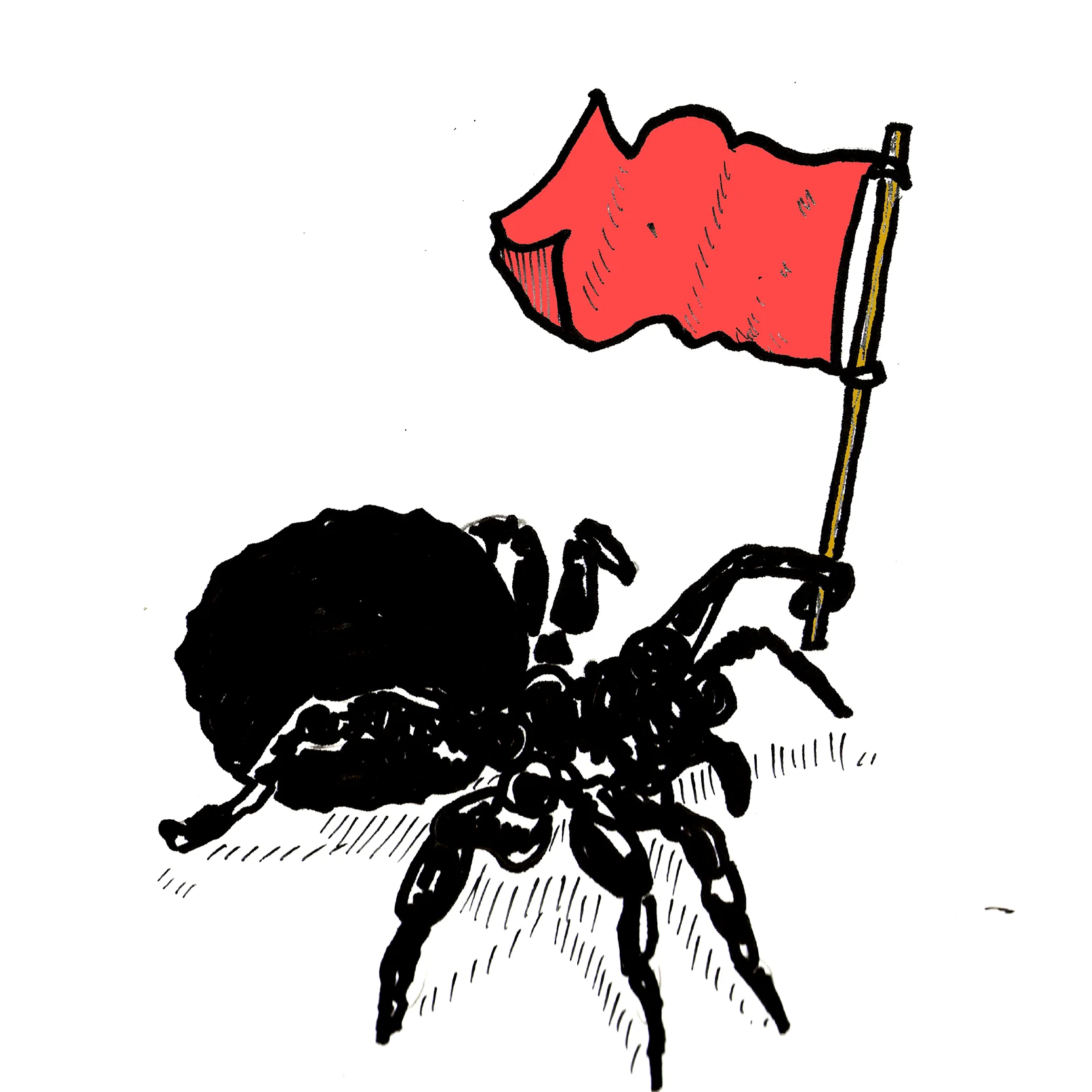 red-spider.jpg