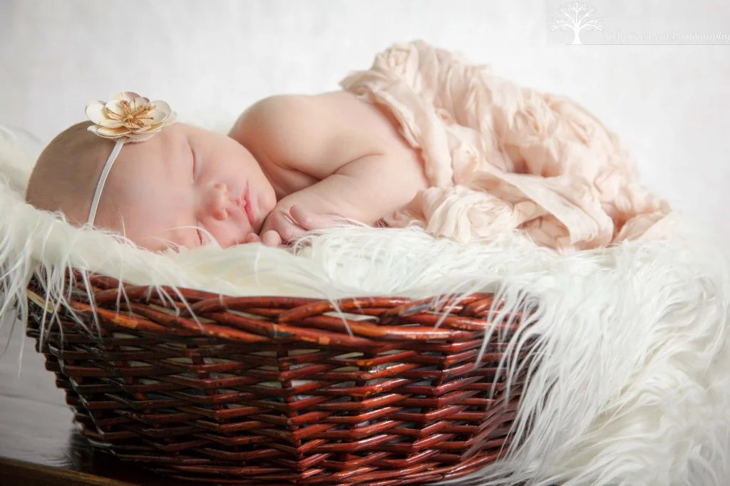 Sadie-4-1024x682.jpg