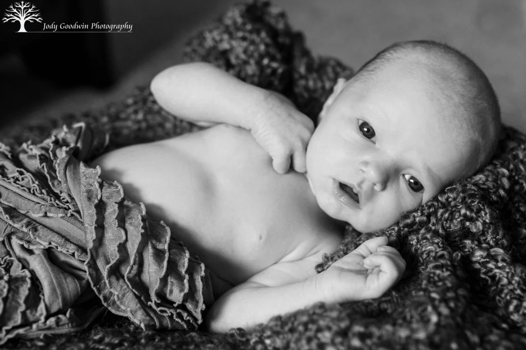 Sadie-15-1024x682.jpg
