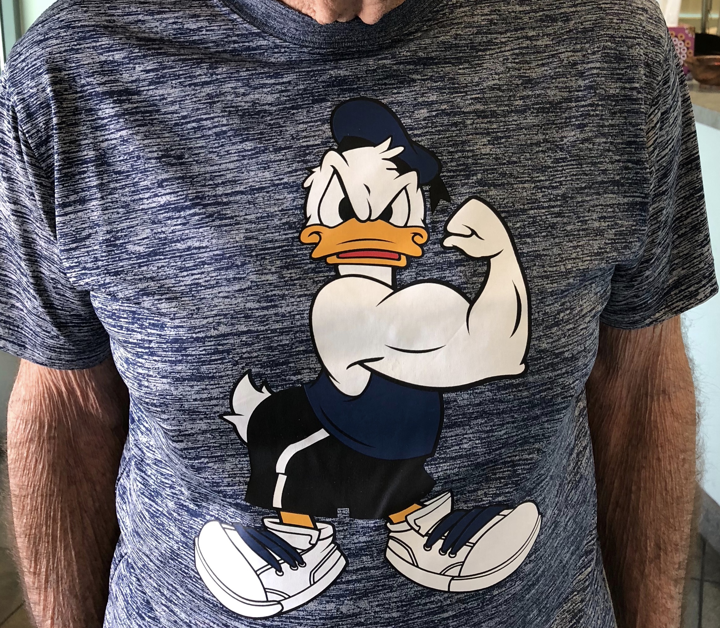 Ed and Donald Duck