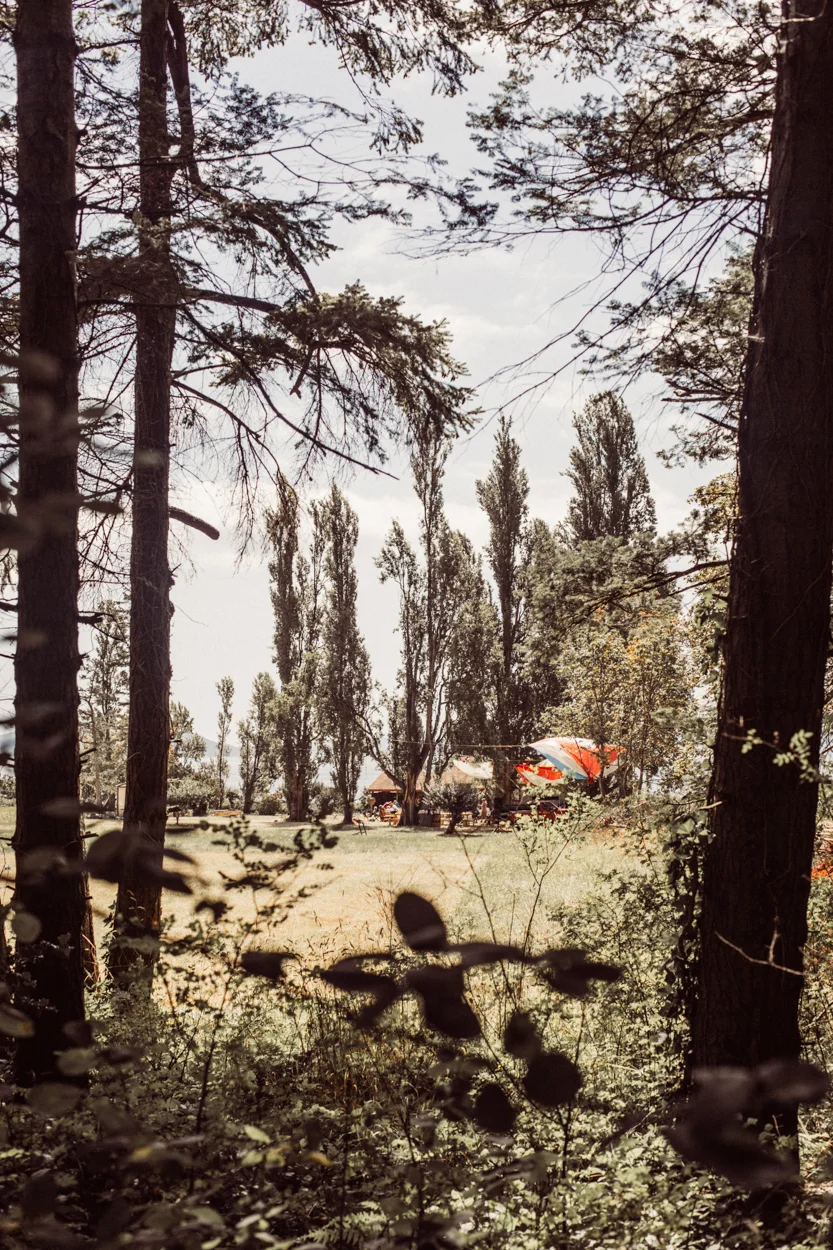 RZ-67 copy.jpg