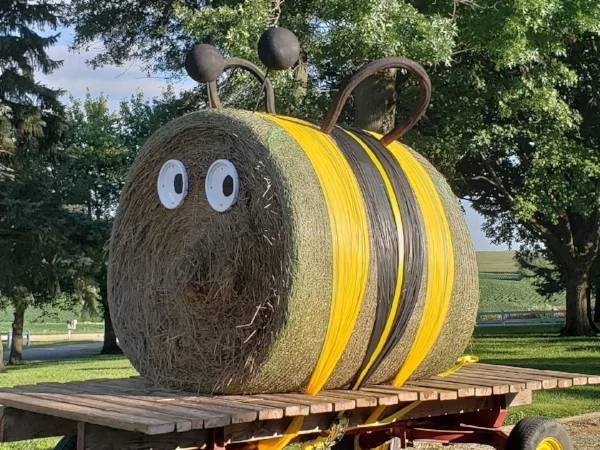 Bee.jpg