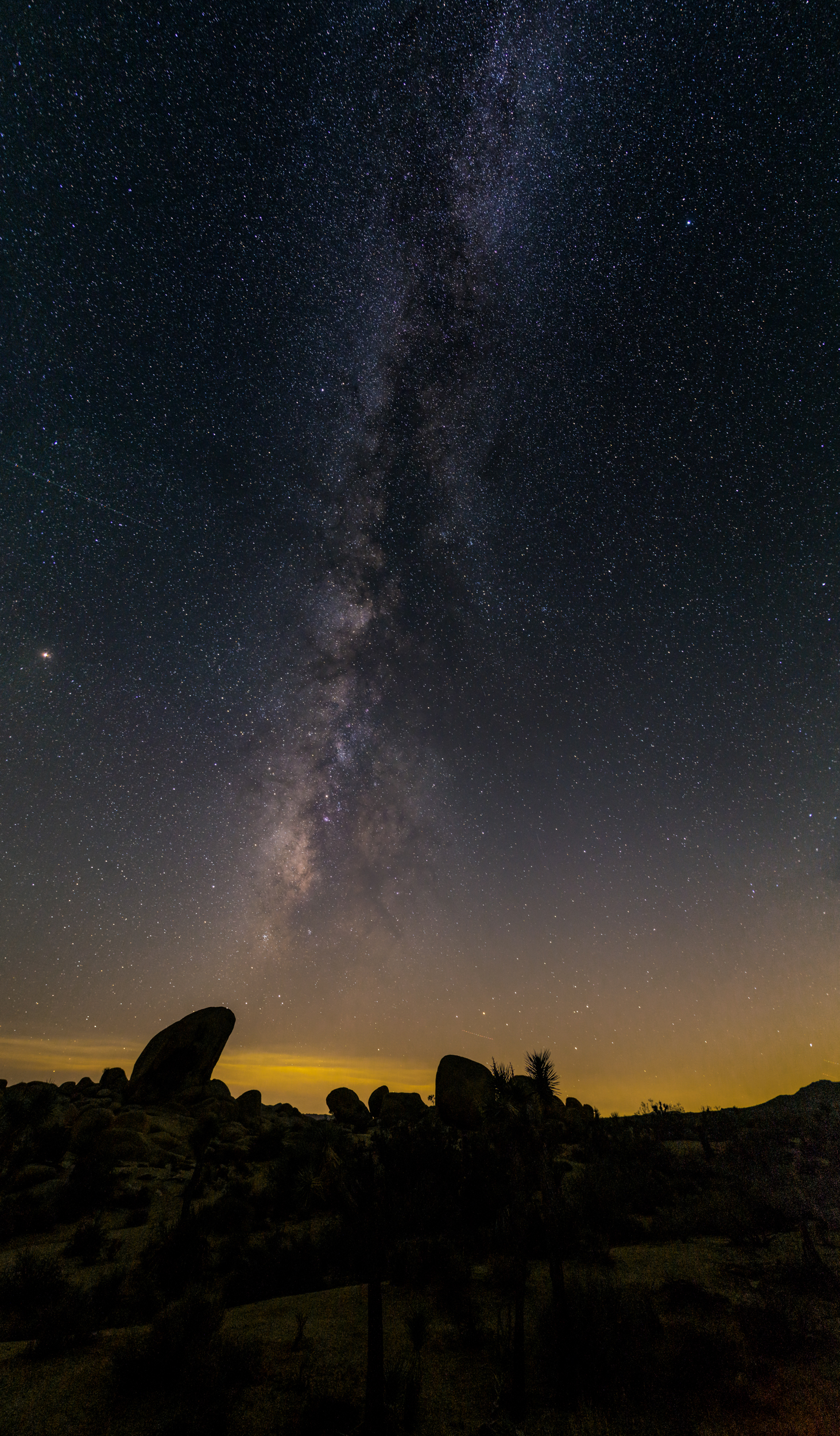 The Milky Way at Joshua Tree National Park