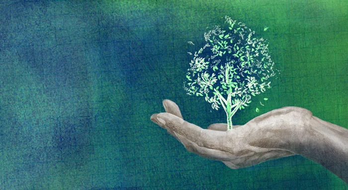 Website Banner Illustration
