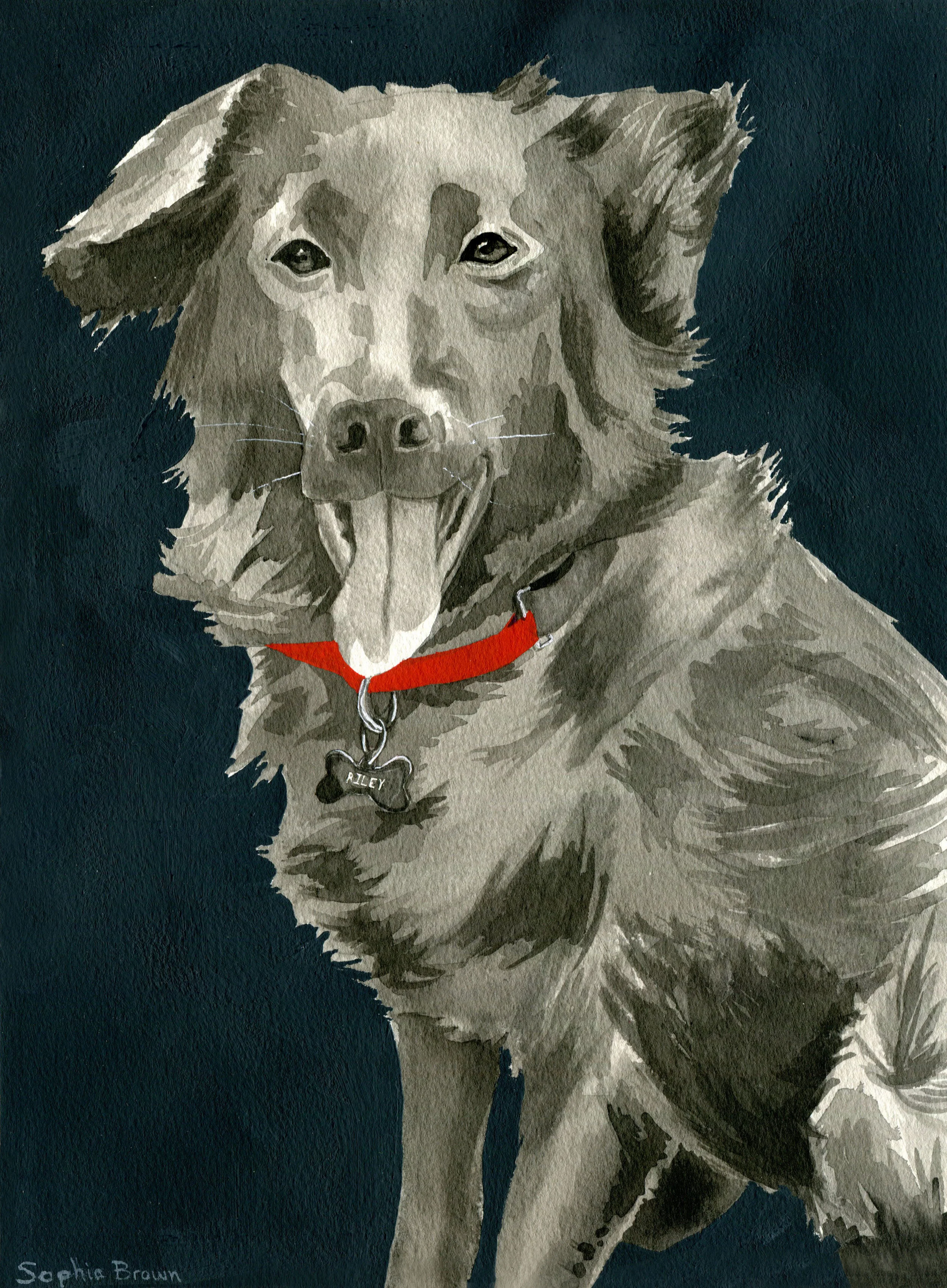 Pet Portrait: Riley