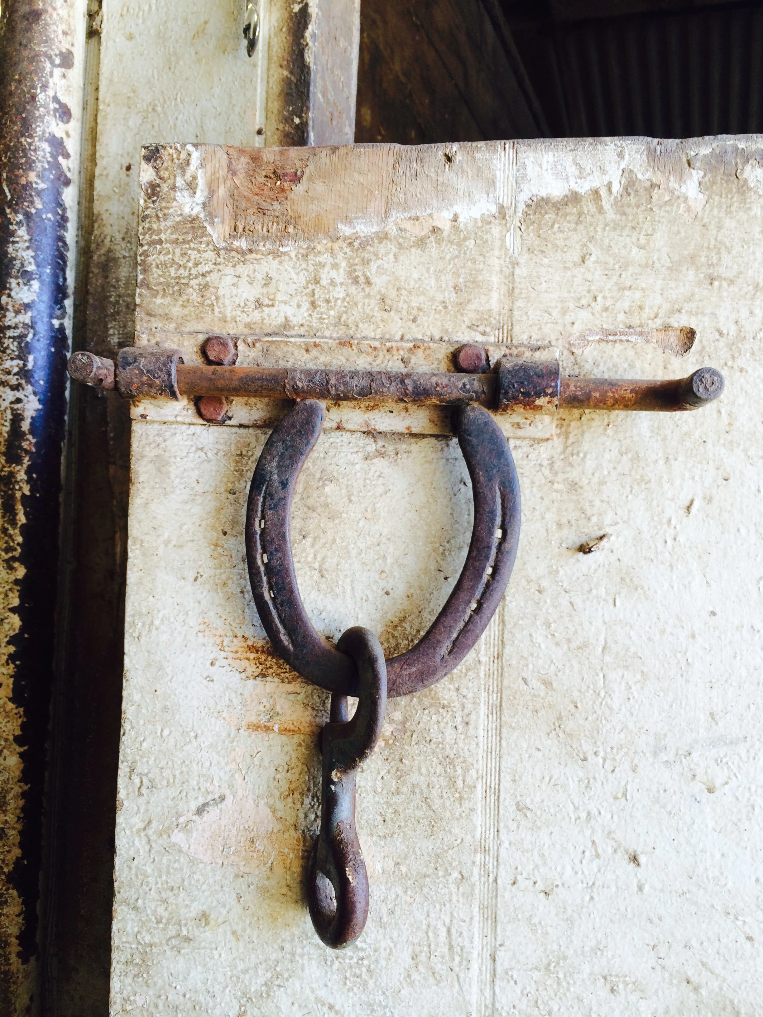 horseshoe.jpeg