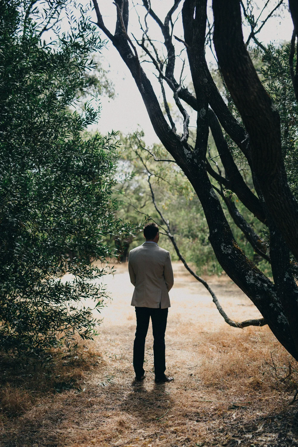 amyryan-3.jpg