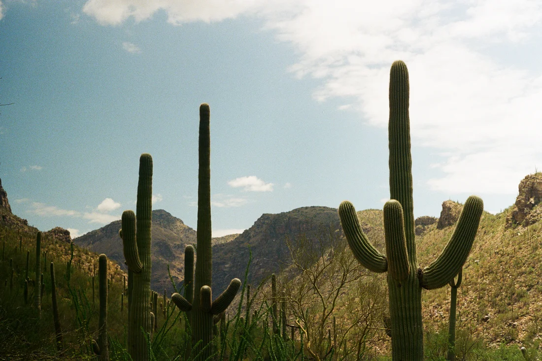 ROAD TRIP-18.jpg