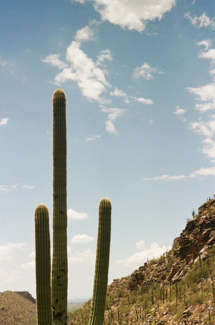 ROAD TRIP-21.jpg
