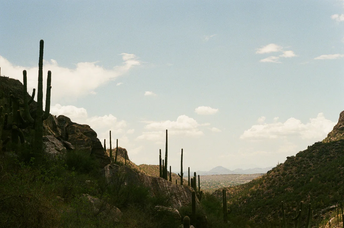 ROAD TRIP-22.jpg