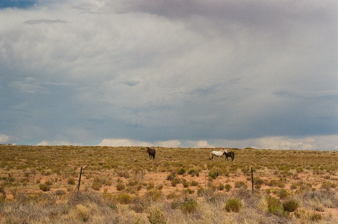 ROAD TRIP-32.jpg