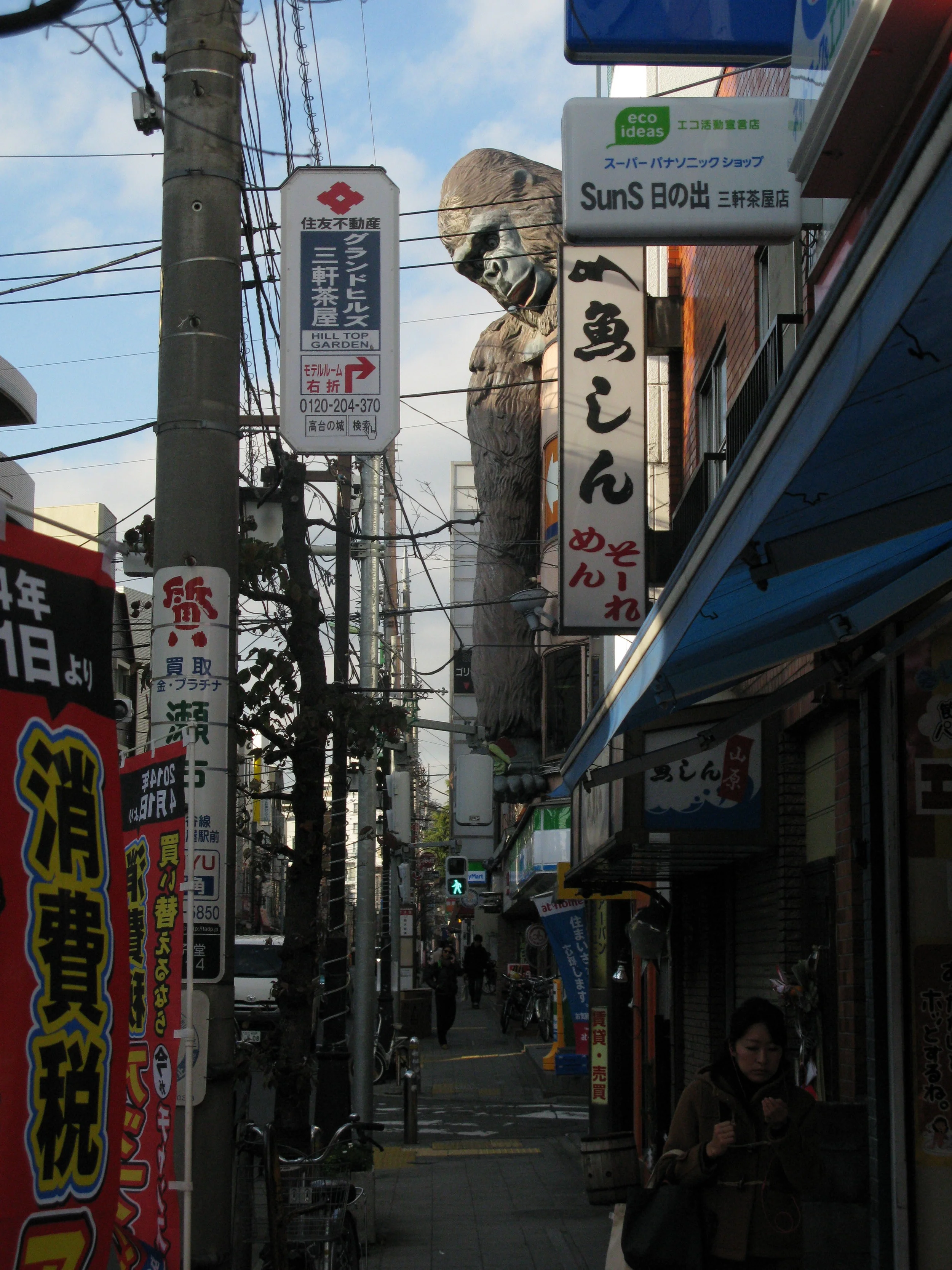 IMG_8864.JPG