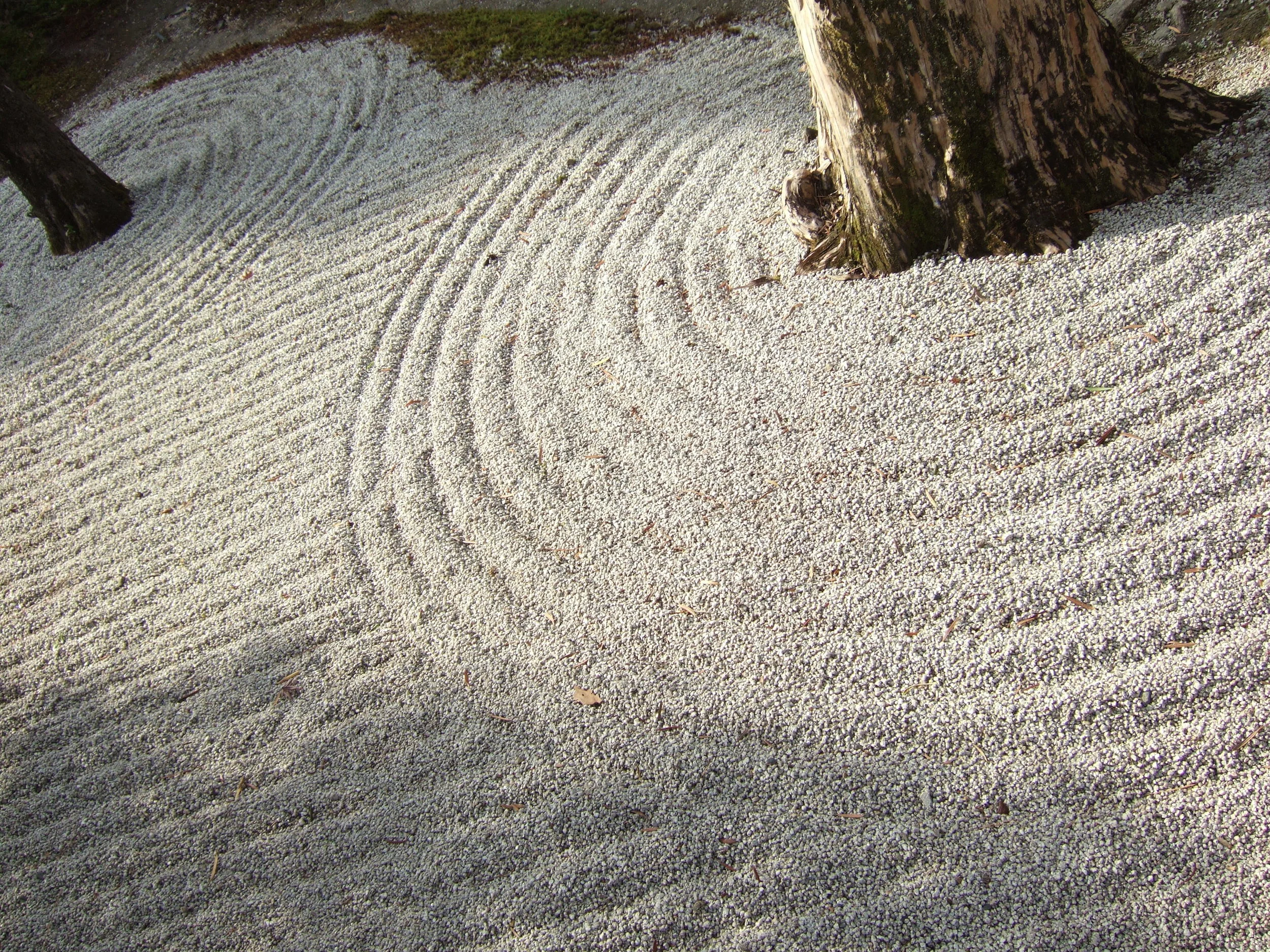 DSCF5542.JPG