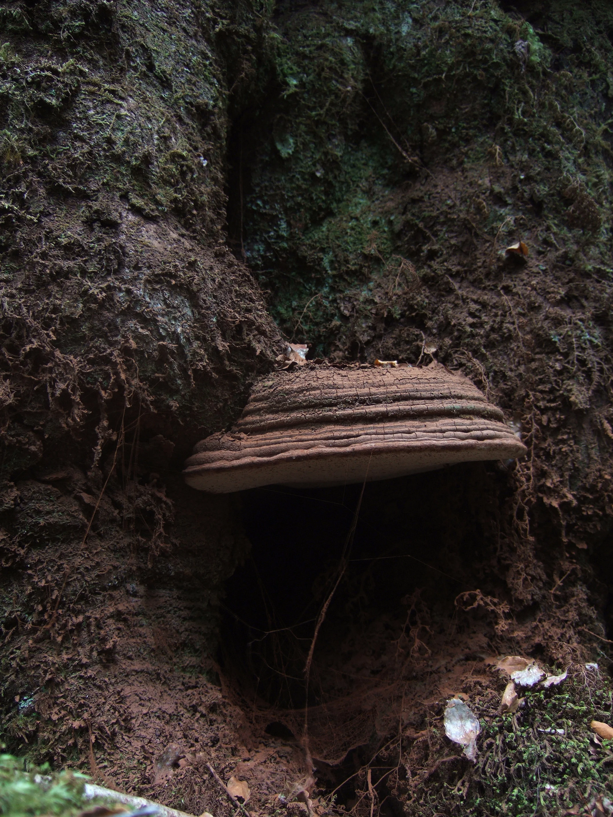 DSCF7911.JPG