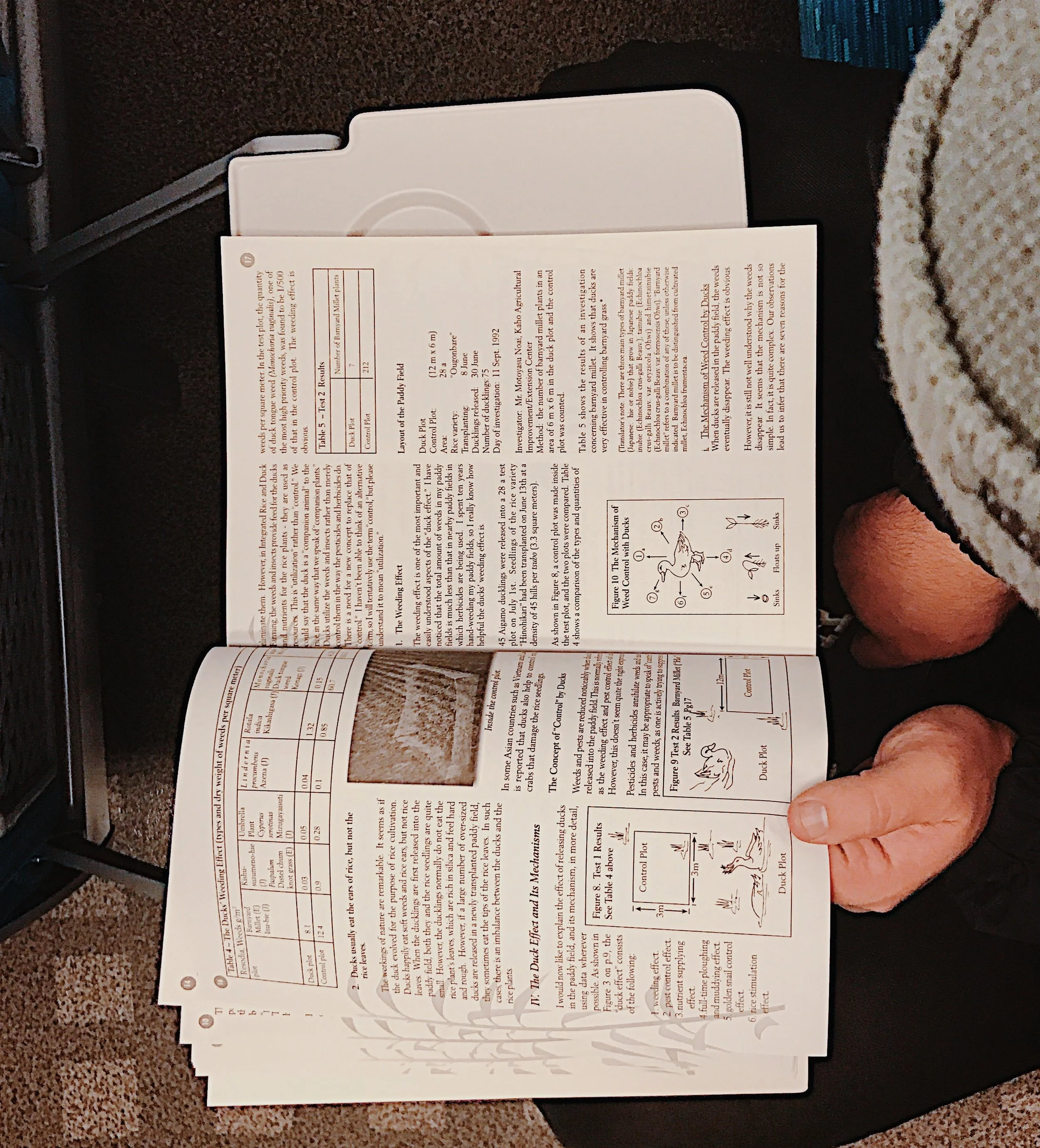 Craig reads up on integrated duck and rice farming techniques on the bullet train.&nbsp;