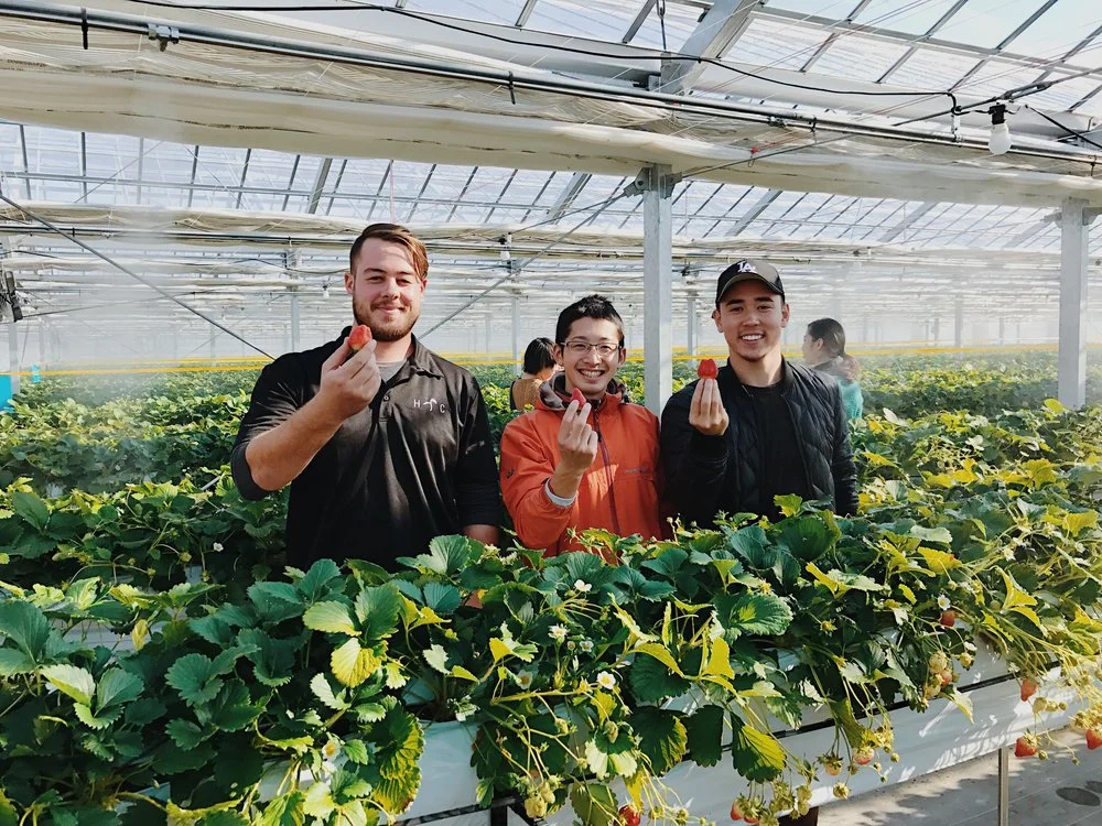 Katsube-san, an IT specialist turned farmer and community cultivator.