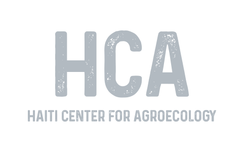 HCA.png