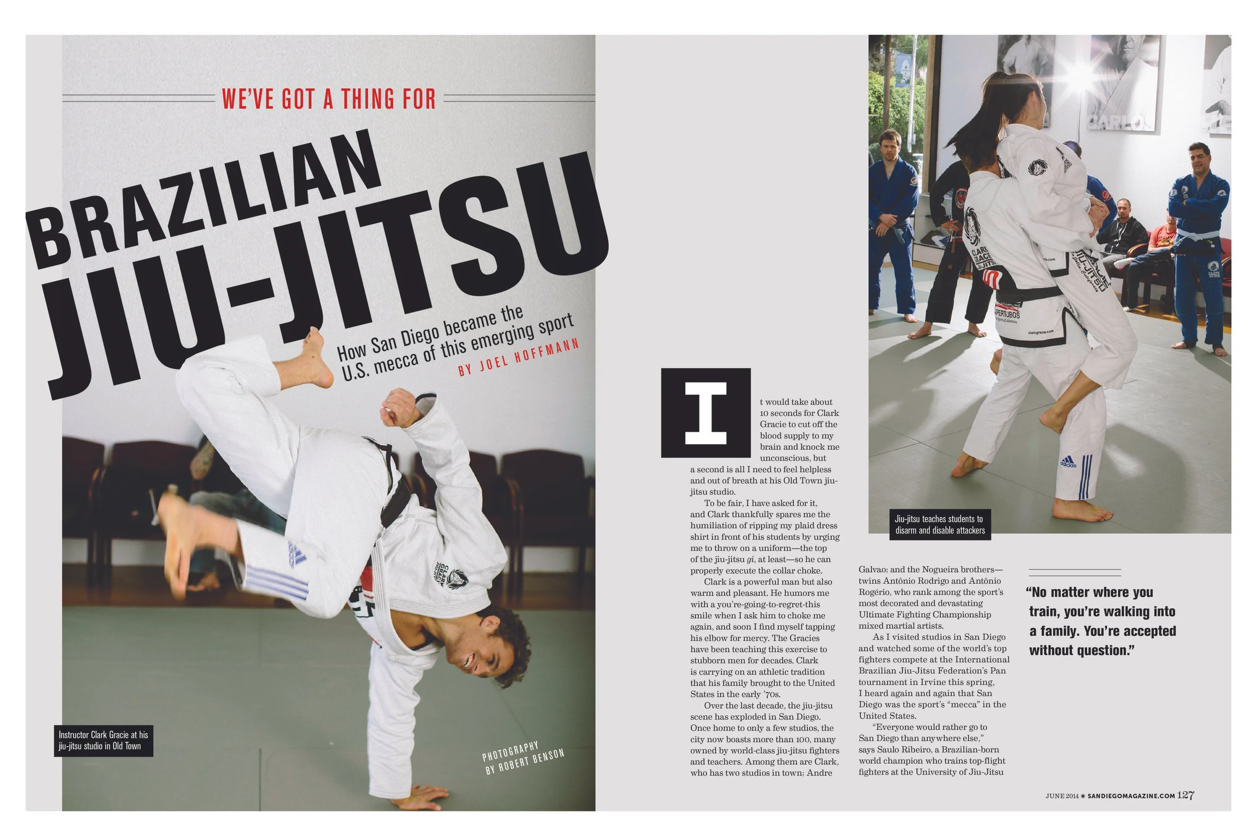 website magazine spreads5.jpg