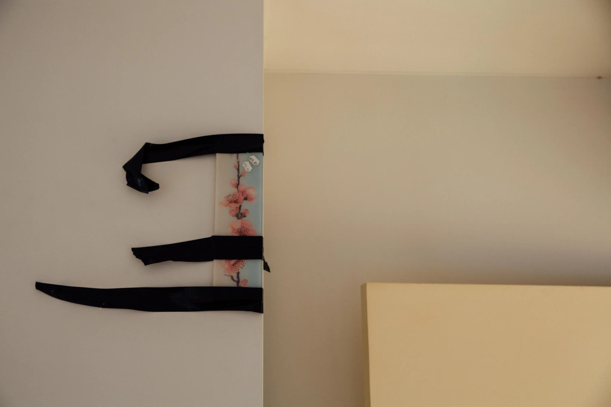 20160213_7699.jpg