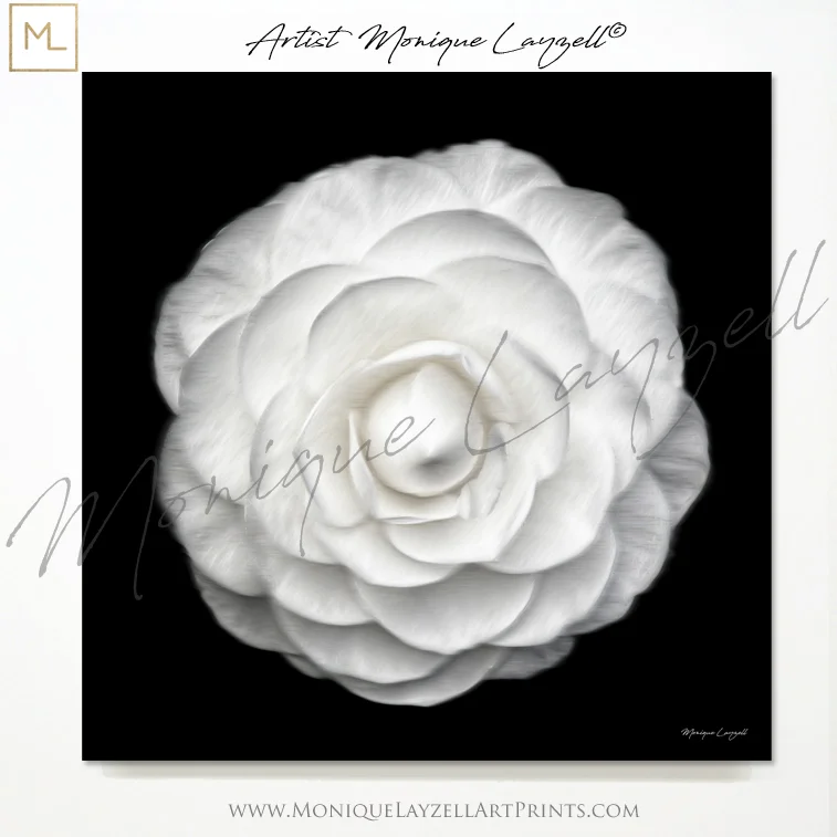 12x12 cameilla flower art display by monique layzell©.jpg