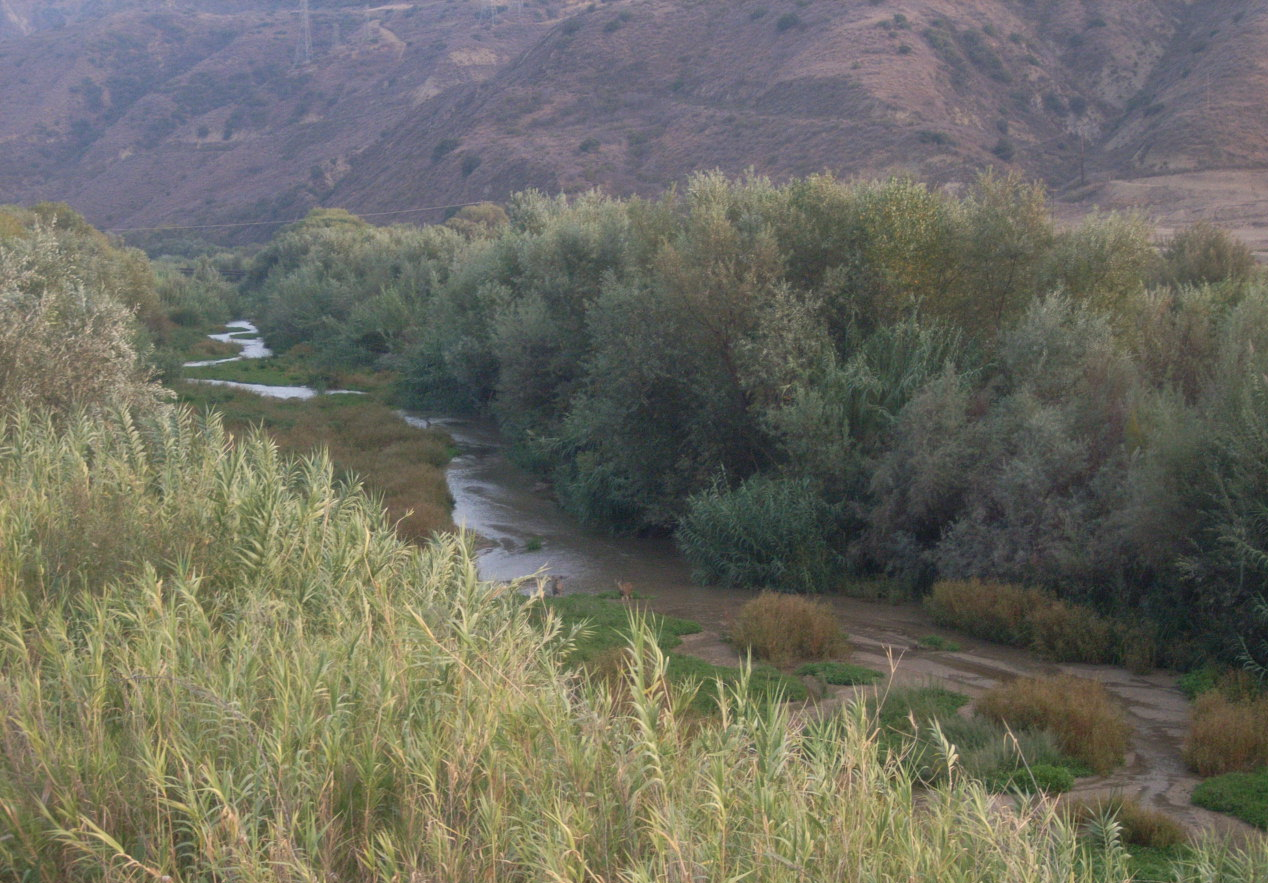 The BEAUTIFUL Meandering and Undeveloped SAnta CLAra River that Would be DREDGED, Filled, and COncreted by the Proposed Development of OVER 20,000 homeS 
