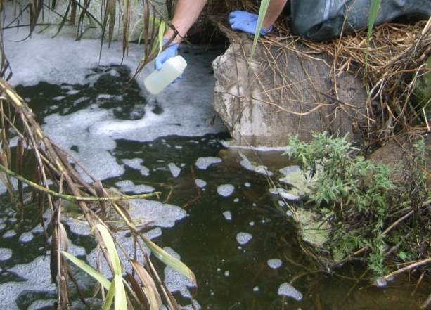 Only a Very Small Fraction of Ventura's Tertiary Treated WasteWater Discharges are Reclaimed. The Majority of its Wastewater is discharges to the ESTUARY through this pipe.
