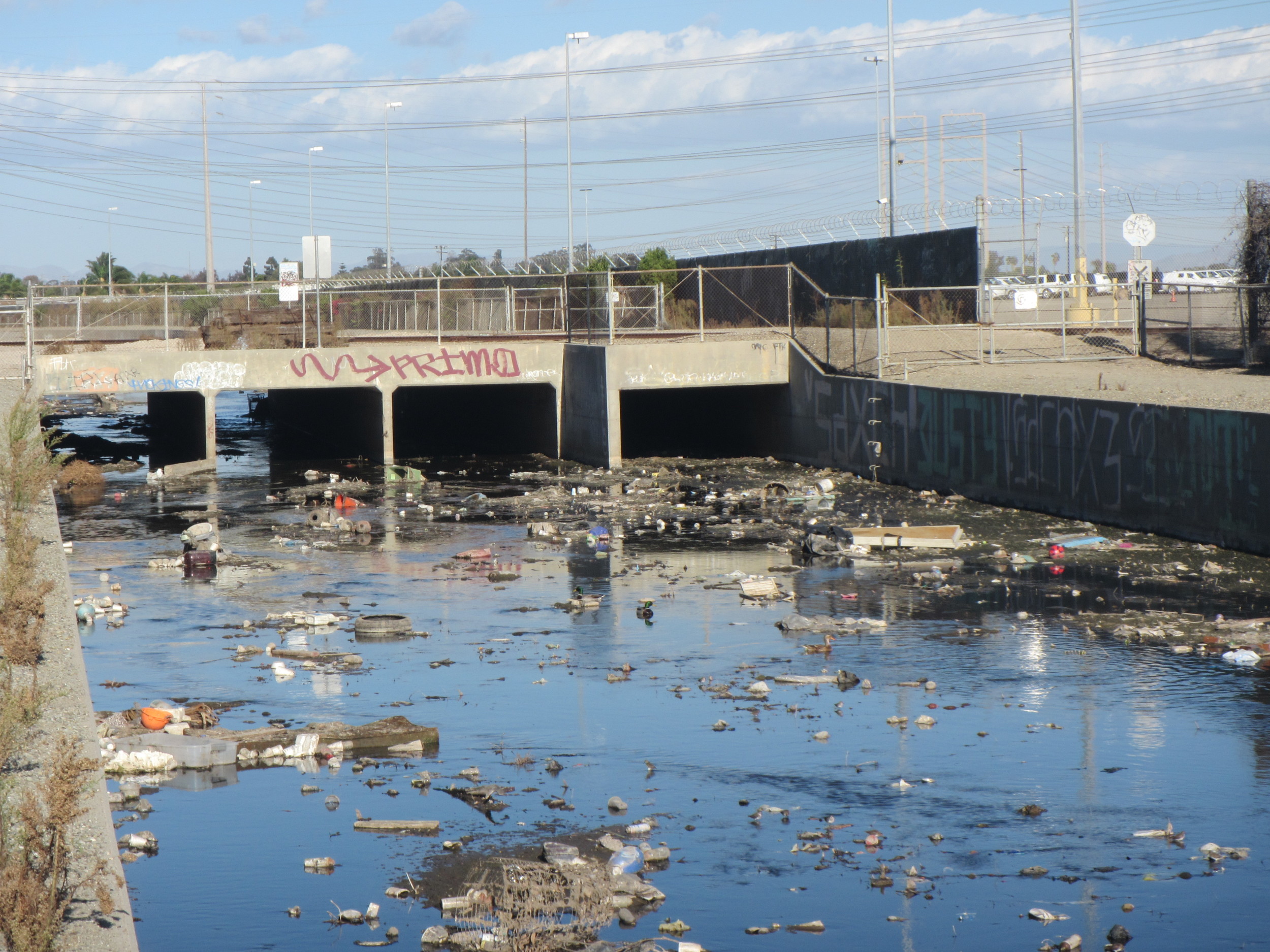 Wishtoyo Documenting Trash in the Oxnard INdustrial Drain (OID) on November 4, 2015 Just UPstream of the Ormond Beach Wetlands. Wishtoyo's current and historic monitoring in the Ormond Beach lagoon and OID supports listings on the CLEAN Water Act 303(d) Impaired waterbody list to protect the OID, Ormond Beach Wetlands and Pacific Ocean from Trash, e. Coli, and Excessive nutrients from Agricultural, Municipal, and industrial Sources.