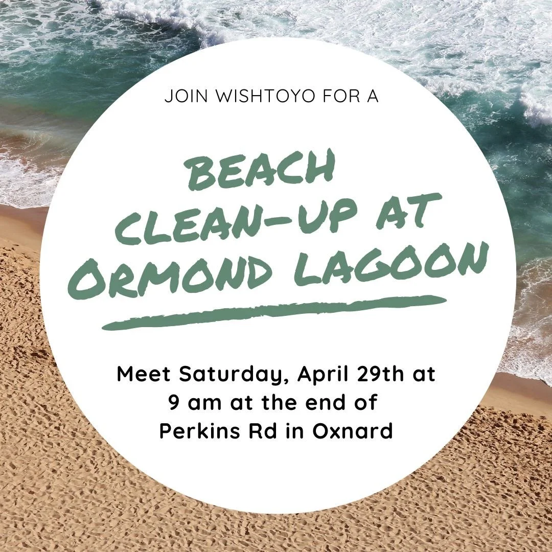Ormond Lagoon beach clean-up