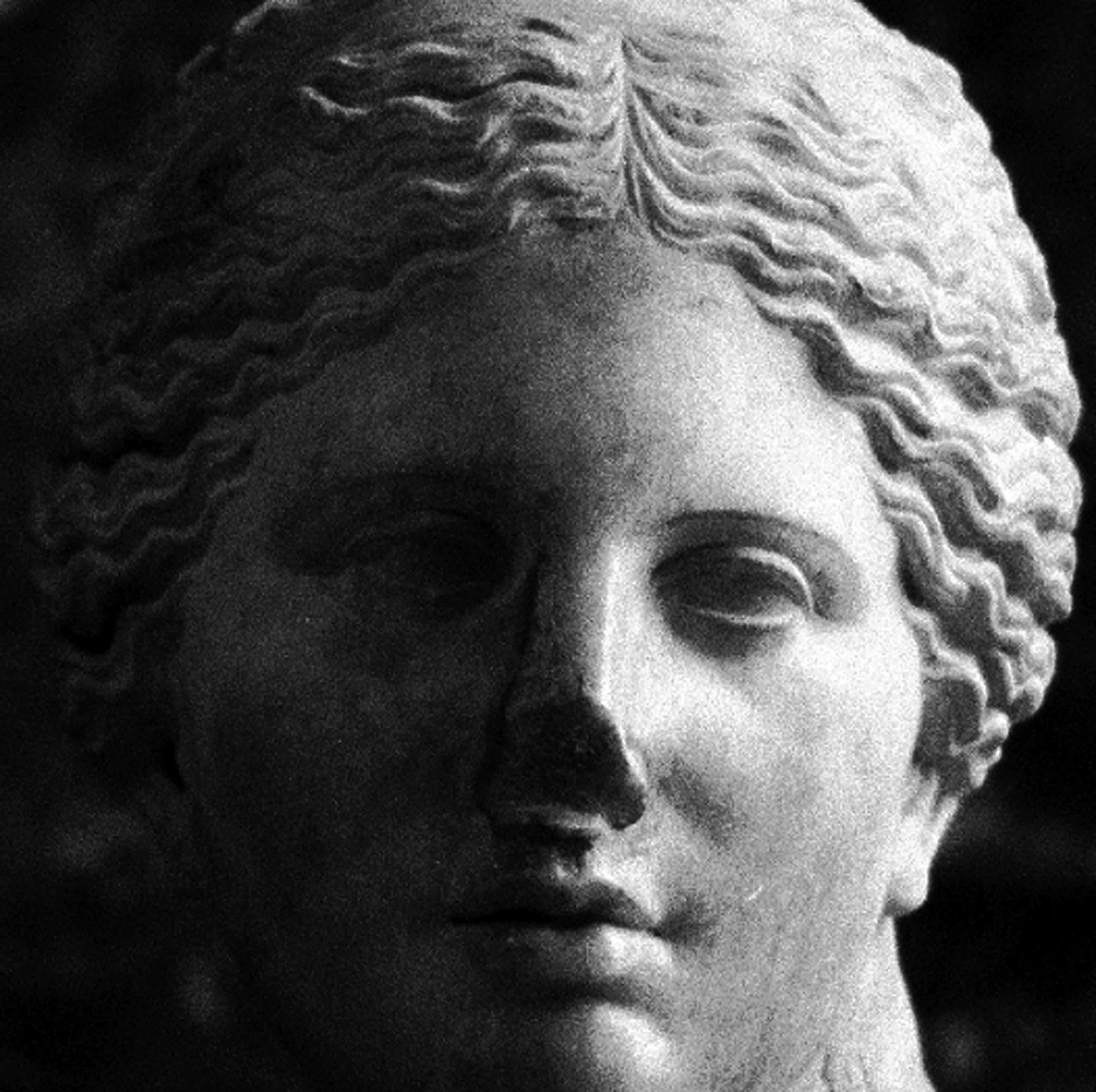 mediterrena faces 2--4.jpg