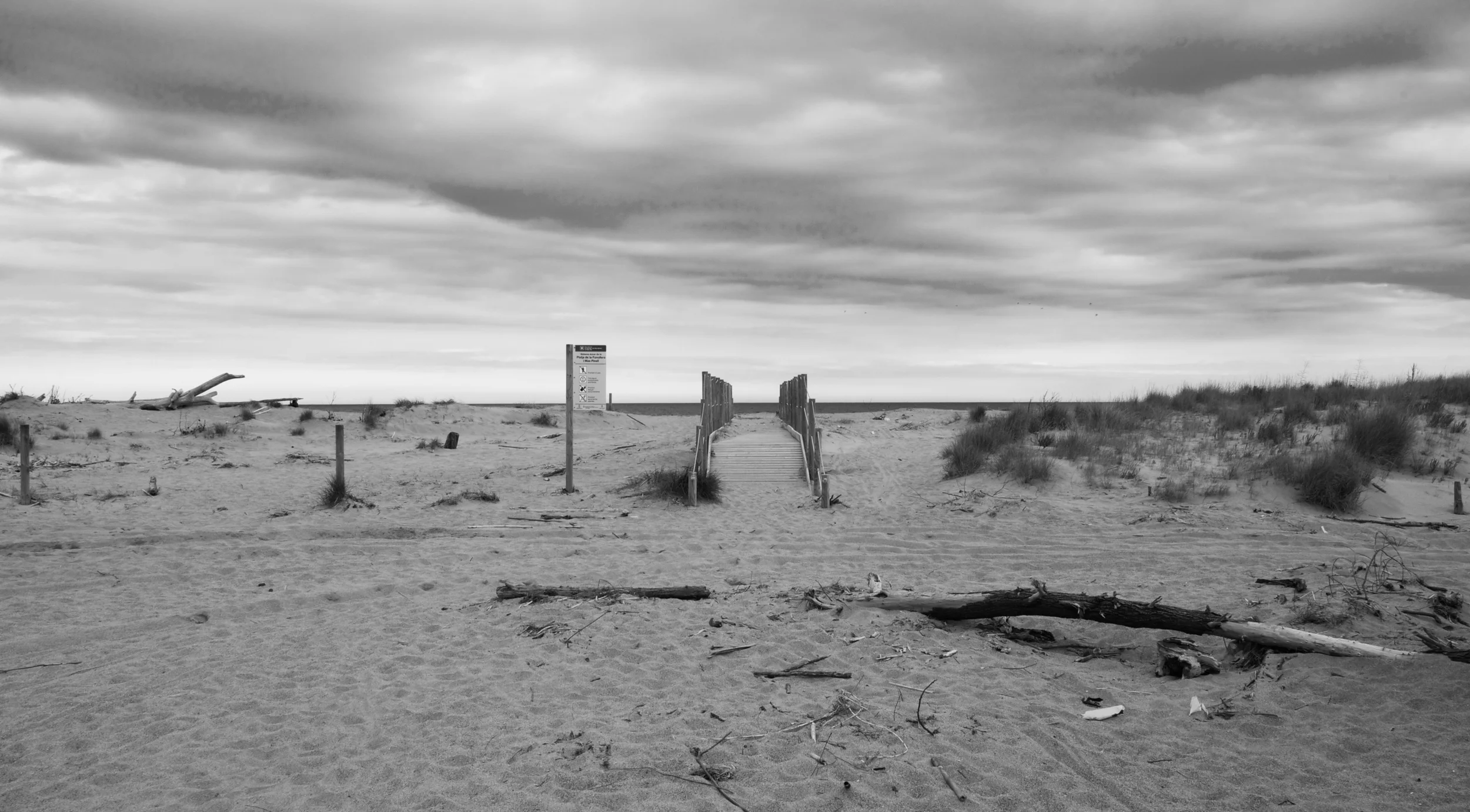 _A7D0801 - Version 2-3 copy.jpg