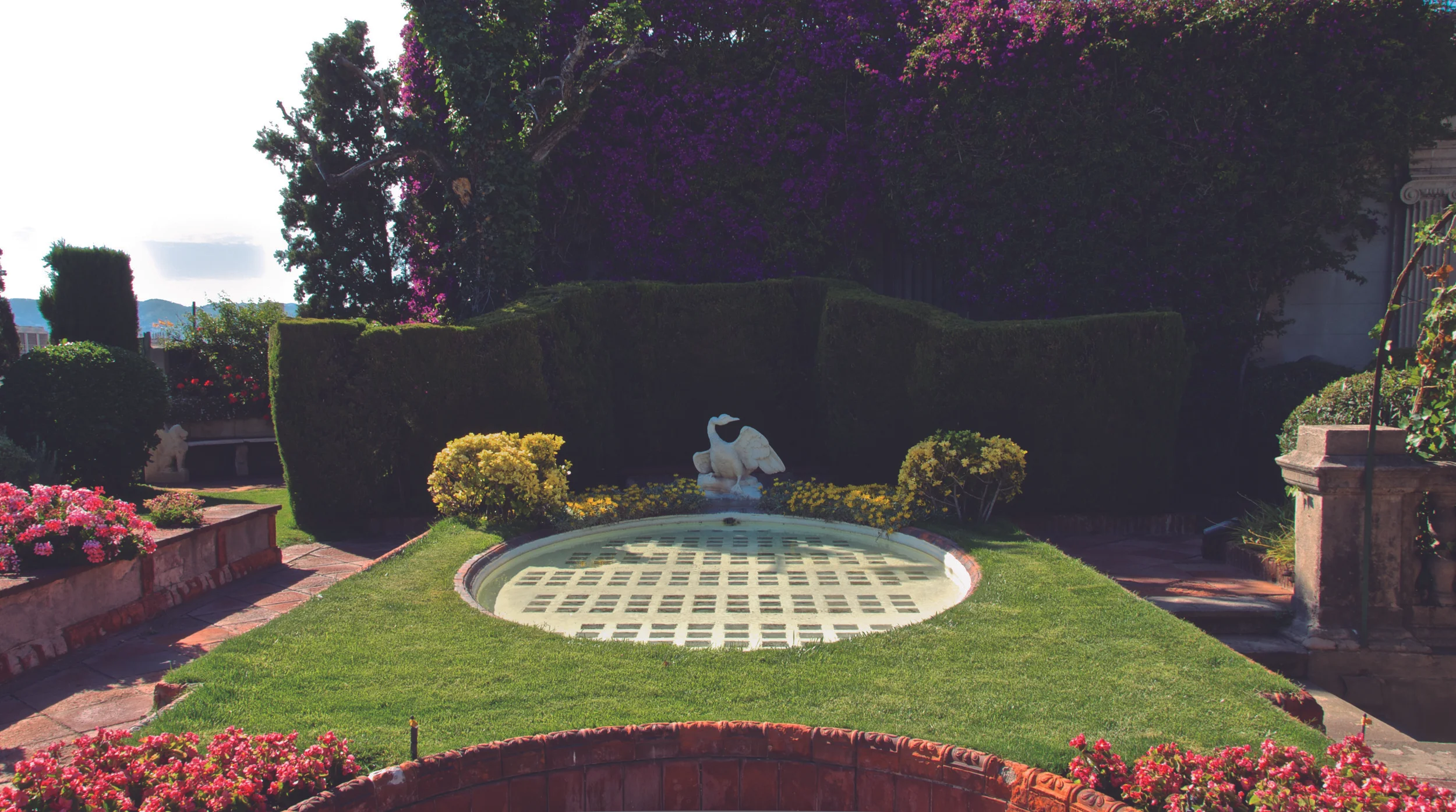 _A7D2356 - Version 2 copy-2.jpg