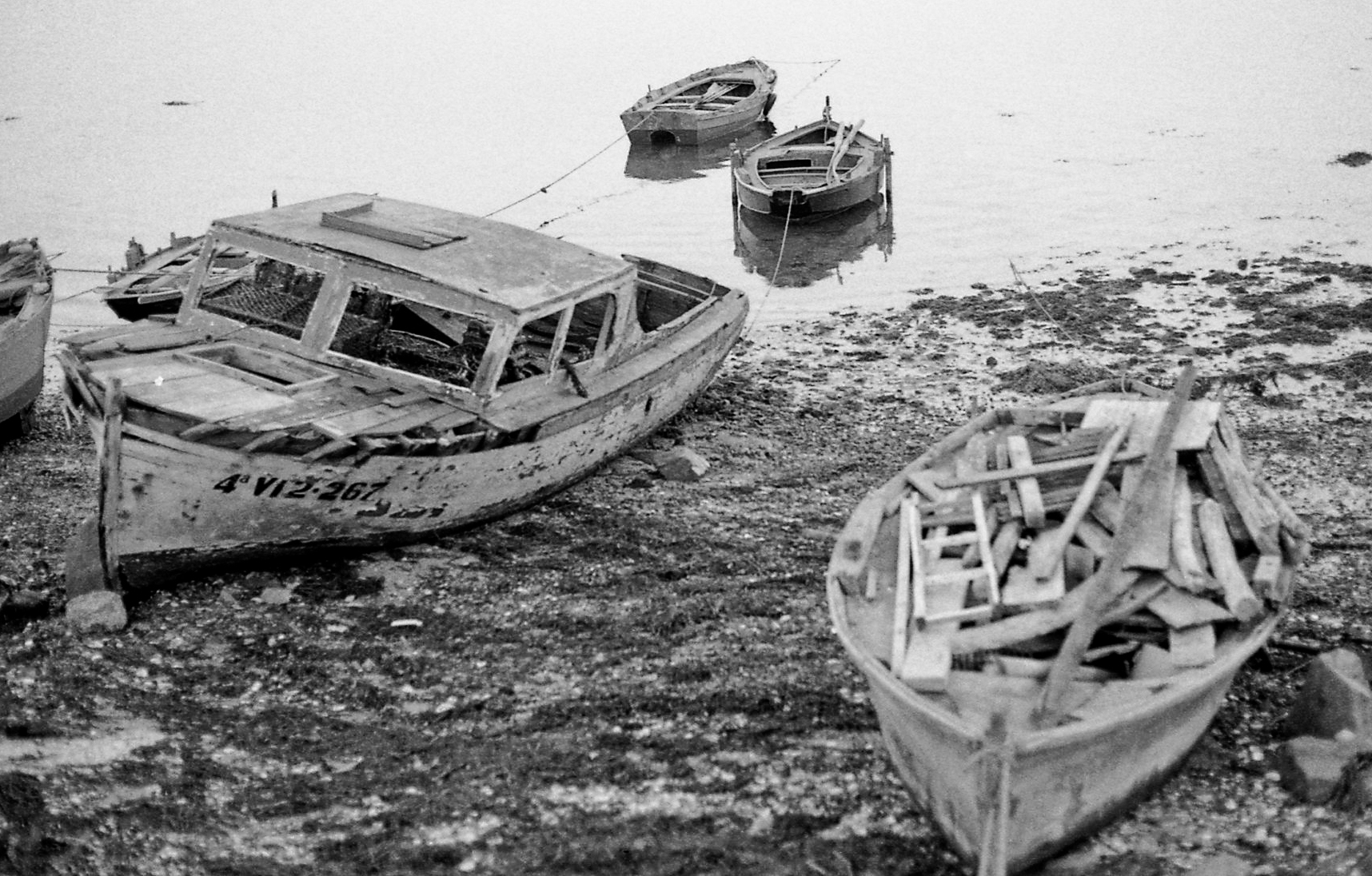 barcas017 copy.jpg